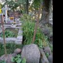 Sokolka stary cmentarz grob 39